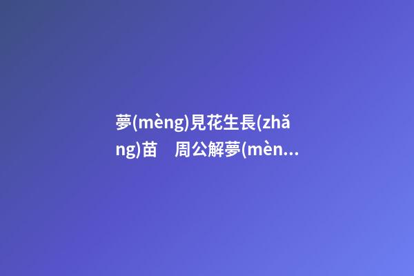 夢(mèng)見花生長(zhǎng)苗　周公解夢(mèng)之夢(mèng)到花生長(zhǎng)苗